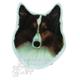 Vinyl Dog Magnet with Shetland Sheepdog Small