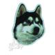 Vinyl Dog Magnet with Siberian Husky Small