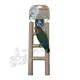 Cement 3 Step Bird Ladder Medium