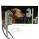 WaterDog Automatic Outdoor Pet Drinking Fountain