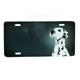 Aluminum Dog Breed License Plate with Dalmatian