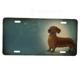Aluminum Dog Breed License Plate with Dachshund