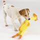 Zanies Rubber Chicken 24 Inch Dog Toy
