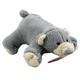 Plush Bear Small Dog Toy