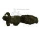 Wild Thang Raccoon Plush Dog Toy
