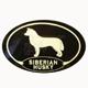 Euro Style Oval Dog Decal Siberian Husky