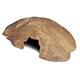 Reptile Cave Medium Terrarium Hiding Spot