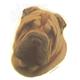 Double Sided Dog Decal Shar Pei