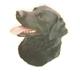 Double Sided Dog Decal Labrador Retriever Black 