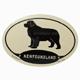 Euro Style Oval Dog Decal Newfoundland