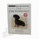 The Dachshund (Terra Nova)