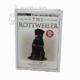 The Rottweiler (Terra Nova)