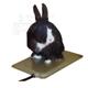 Lectro Small Animal Heated Pad