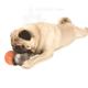 Planet Dog Orbee-Tuff Diamond Ball Assorted