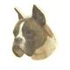 Double Sided Dog Decal Boxer
