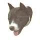 Double Sided Dog Decal Pit Bull Terrier