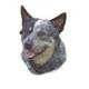 Double Sided Dog Decal Australian Cattle Dog