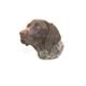 Double Sided Dog Decal German Shorthaired Pointer