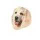 Double Sided Dog Decal Great Pyrenees 