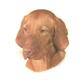 Double Sided Dog Decal Vizsla