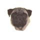 Double Sided Dog Decal Pug