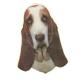 Double Sided Dog Decal Basset Hound