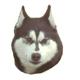 Double Sided Dog Decal Alaskan Malamute