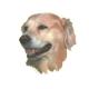 Double Sided Dog Decal Golden Retriever