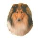 Double Sided Dog Decal Collie
