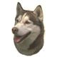 Double Sided Dog Decal Husky