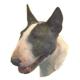 Double Sided Dog Decal Bull Terrier