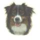 Double Sided Dog Decal Australian Shepherd