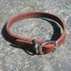 Circle T Latigo Single Layer Leather Dog Collar 16 inch
