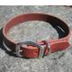 Circle T Latigo Single Layer Leather Dog Collar 24 inch