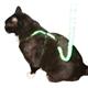 Come With Me Kitty Harness & Bungee Leash Electric Lg