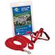 Come With Me Kitty Harness & Bungee Leash Red Lg