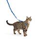 Come With Me Kitty Harness & Bungee Leash Blue Sm