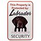 Sign Labrador Chocolate Security 12 x 18 inch Aluminum