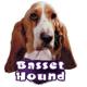 6-inch Vinyl Dog Decal Basset Hound Picture