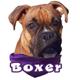 Decal Vinyl Boxer Tan
