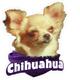 6-inch Vinyl Dog Decal Chihuahua Picture
