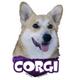 6-inch Vinyl Dog Decal Corgi Picture