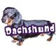 6-inch Vinyl Dog Decal Dachshund Black/Tan Picture