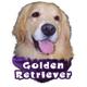 6-inch Vinyl Dog Decal Golden Retriever Picture