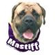 6-inch Vinyl Dog Decal Mastiff Picture