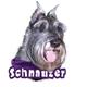6-inch Vinyl Dog Decal Schnauzer Cropped Ears Picture
