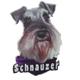 Decal Vinyl Schnauzer Uncropped Ears