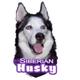 6-inch Vinyl Dog Decal Siberian Husky Picture