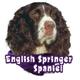 6-inch Vinyl Dog Decal Springer Spaniel Picture