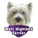 6-inch Vinyl Dog Decal West Highland White Terrier Picture